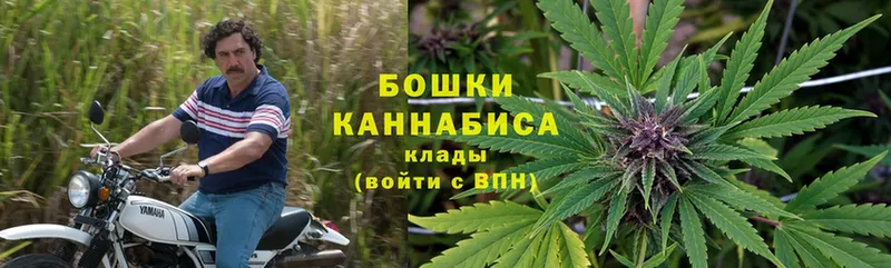 купить наркотики сайты  Шлиссельбург  Шишки марихуана Ganja 